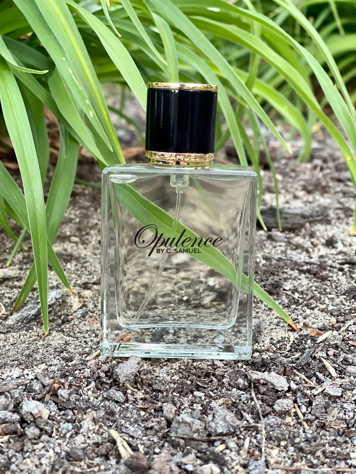 Opulence By C.Samuel